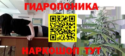 индика Канаш