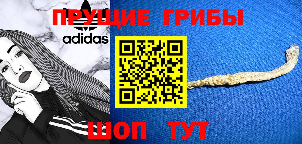Псилоцибиновые грибы ЛСД  Вход с VPN  Псилоцибиновые грибы прущие грибы  где продают наркотики  Южно-Сахалинск 