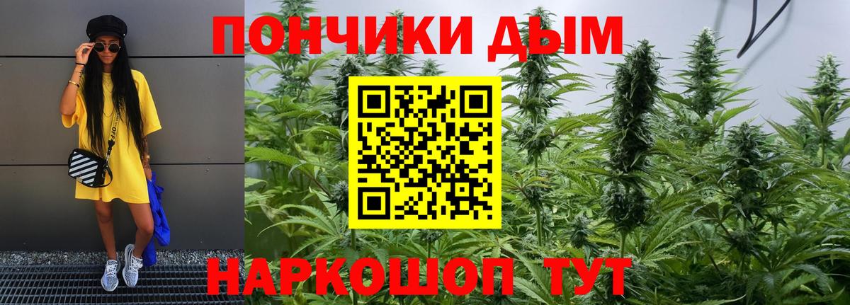 Канабис сатива Южно-Сахалинск